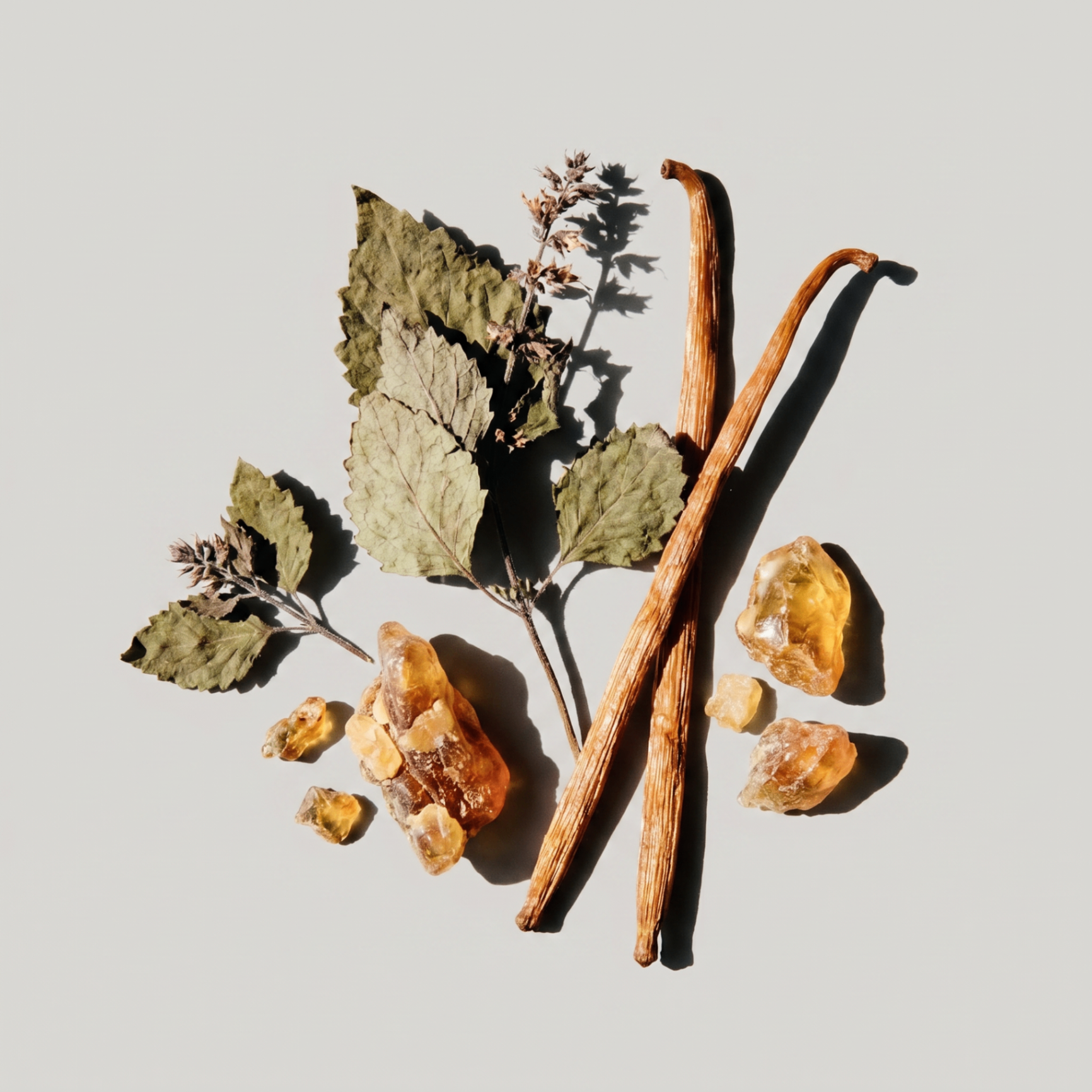 Patchouli & Amber Vanilla